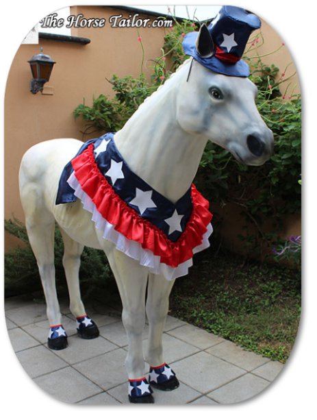 Patriotic Costume